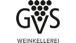 GVS Schachenmann AG